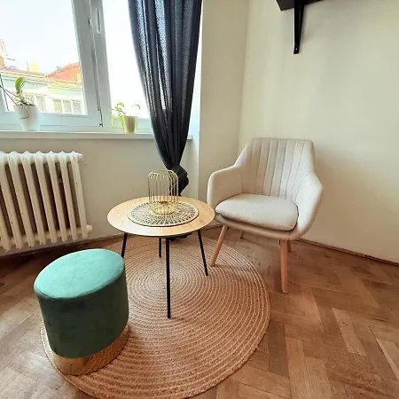 Apartamento Cosy Flat In Center - Right Bellow Spilberk Castle *
