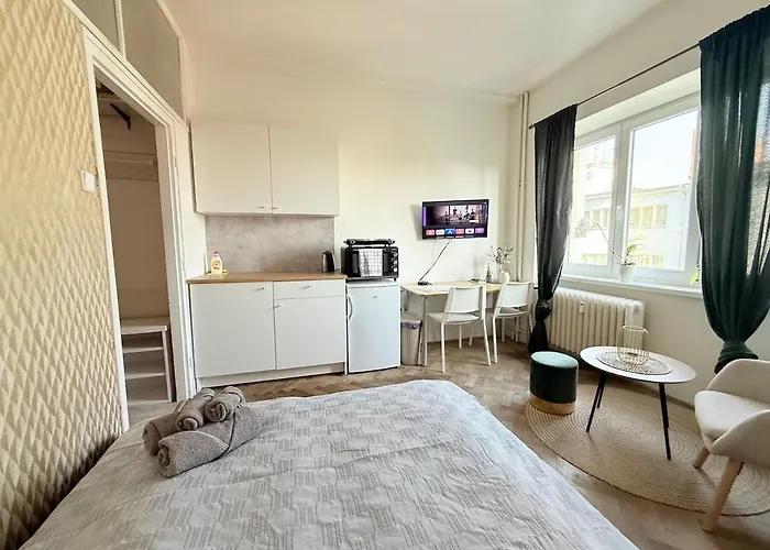 Cosy Flat In Center - Right Bellow Spilberk Castle